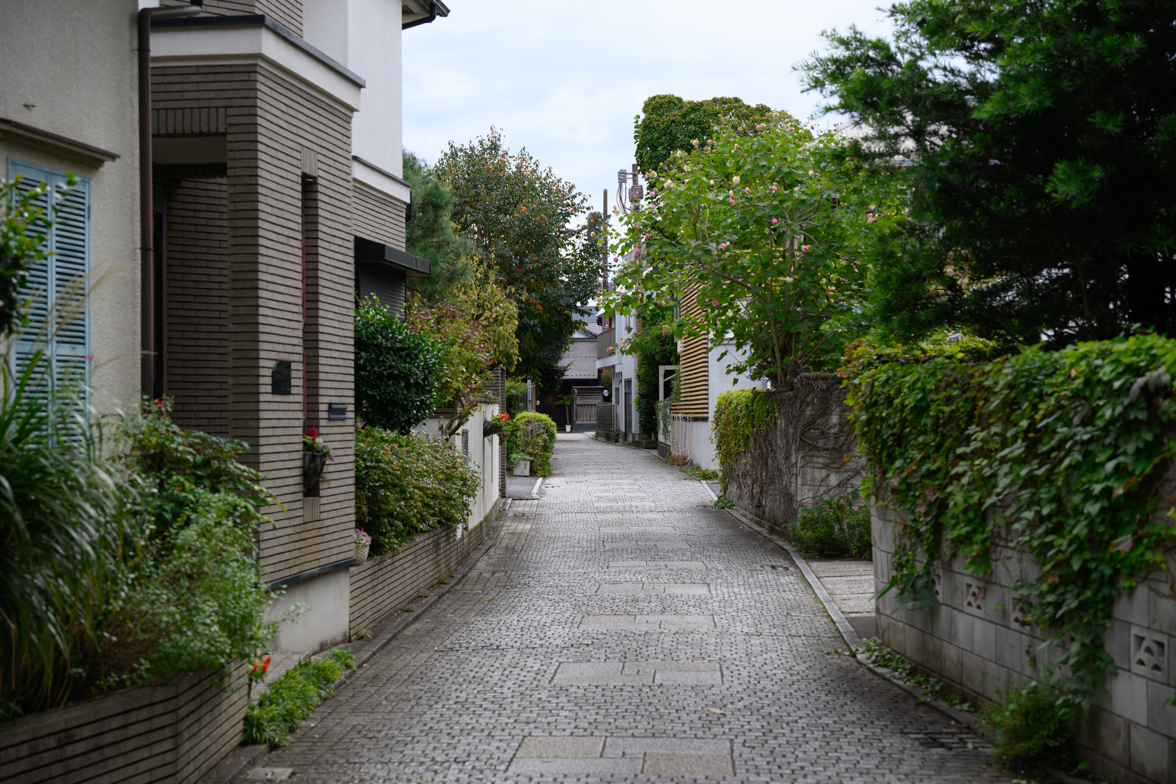 ピザ屋さんにハマる