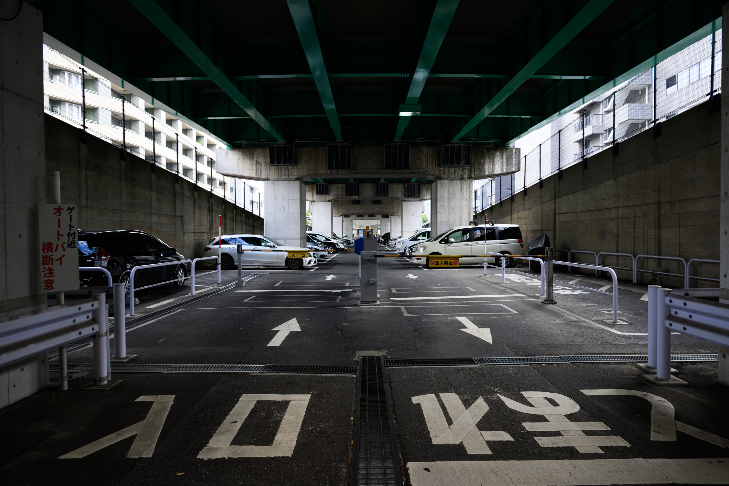 ノーマルガールが帰ってきて嬉しい