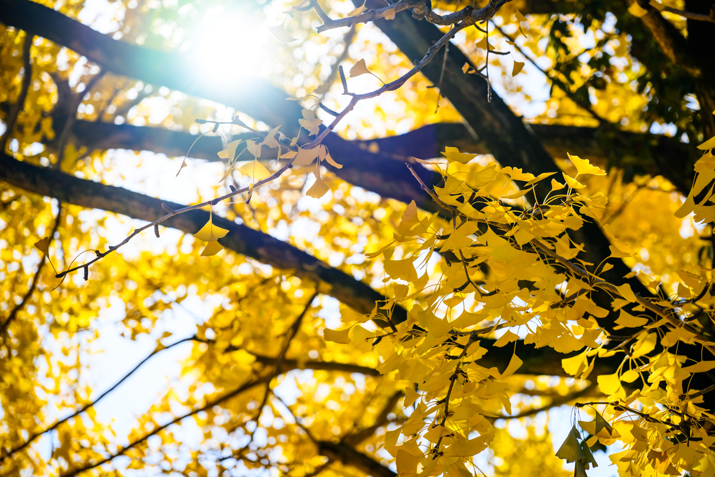 PanasonicのER-GN71良いぞ