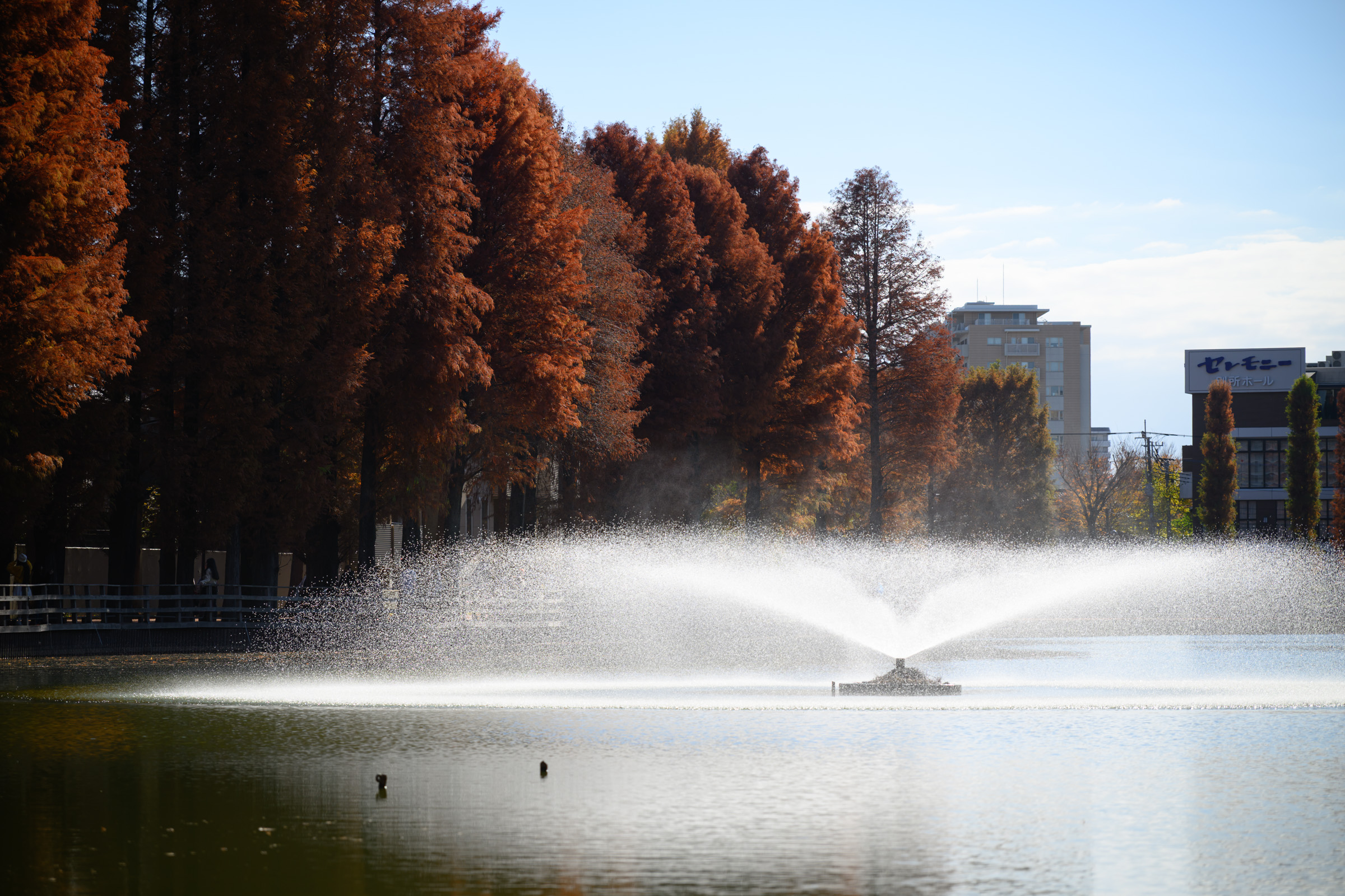 カメラのラッピングクロスは_goパッキングニットがオススメ