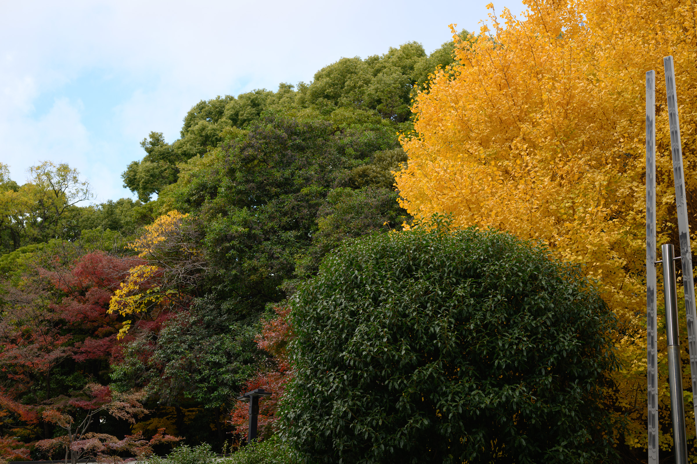 GoogleMap変わった？気のせい？