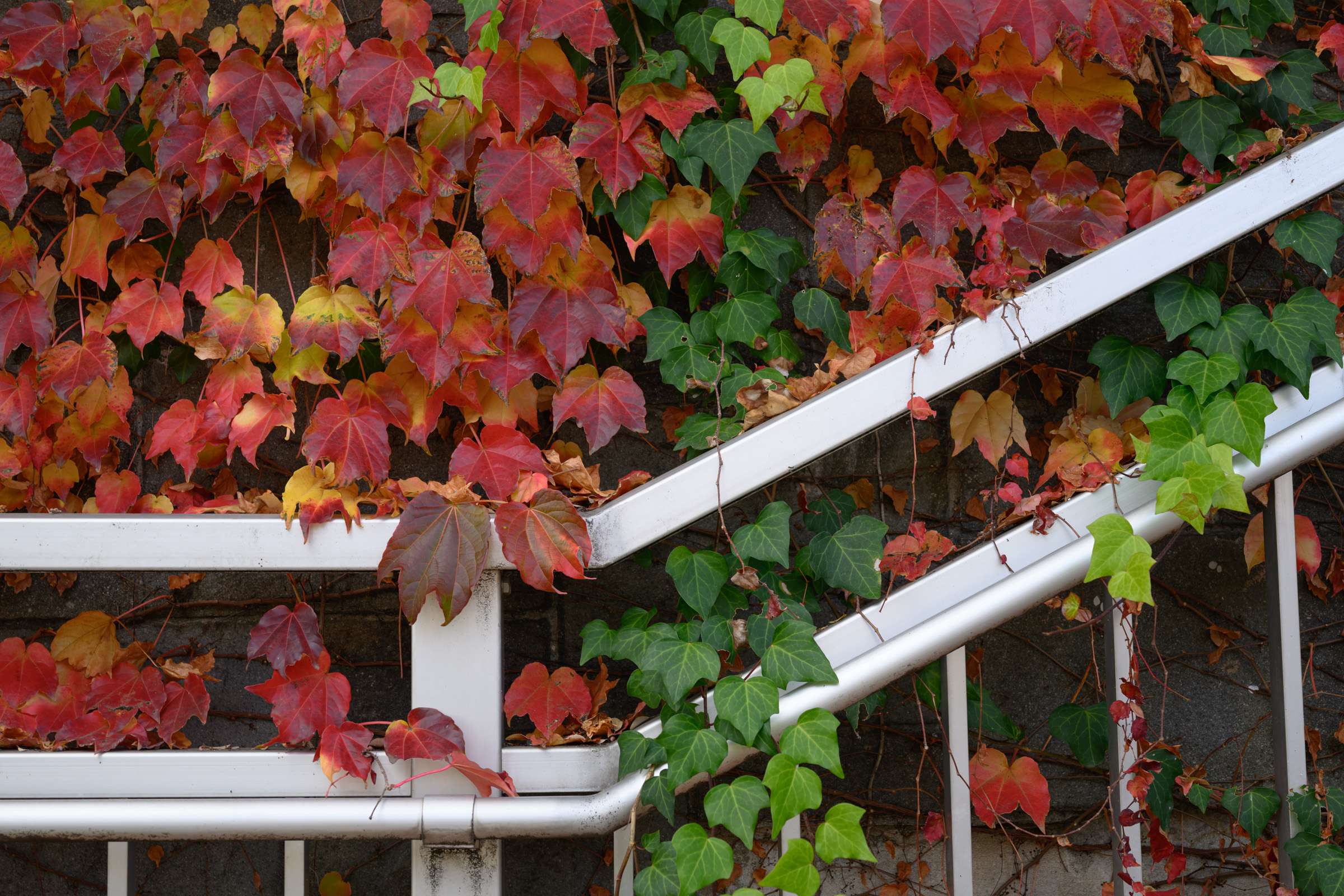 ファ(↑)イルがない