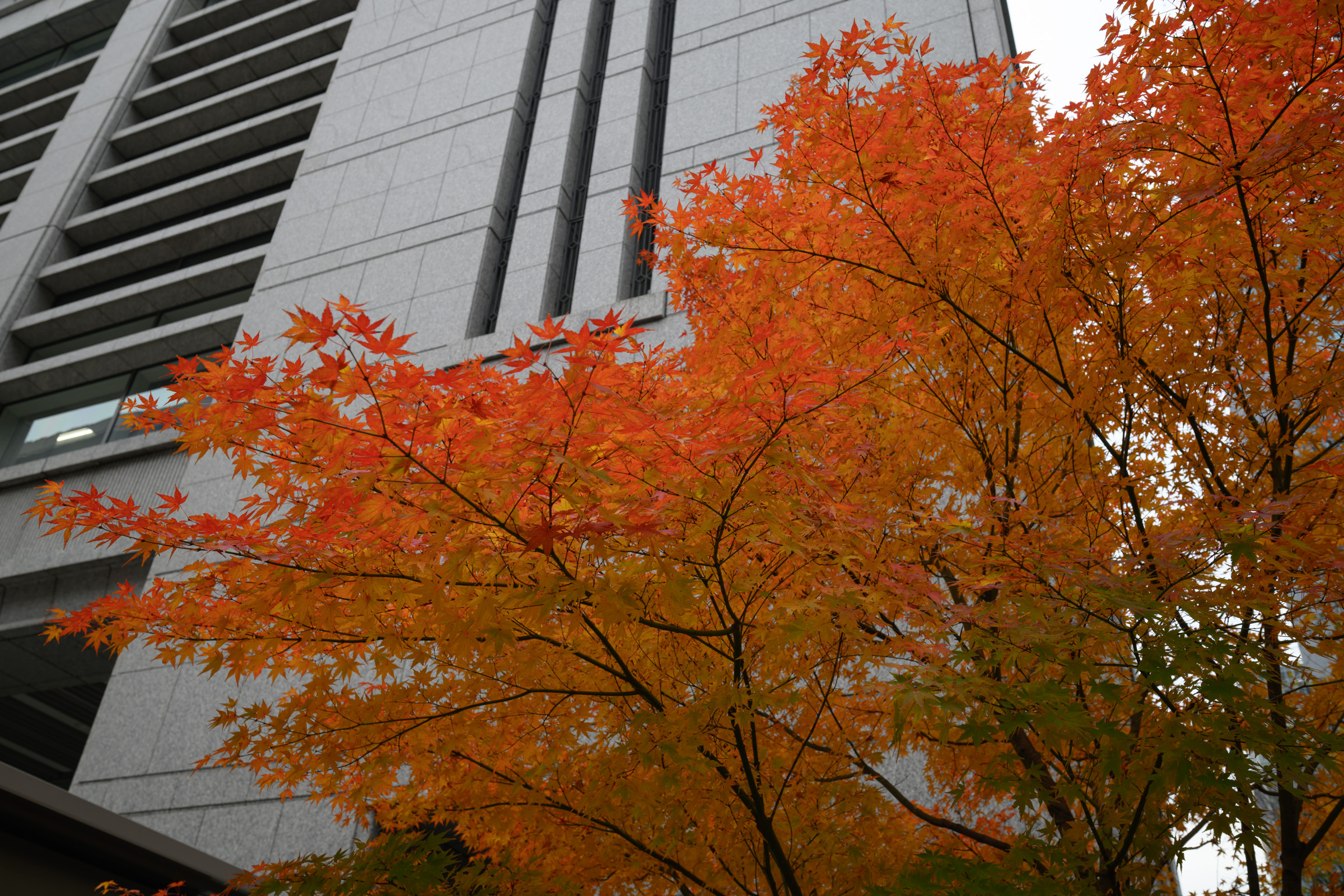 バンカーリングつけてても充電出来ることに気づく