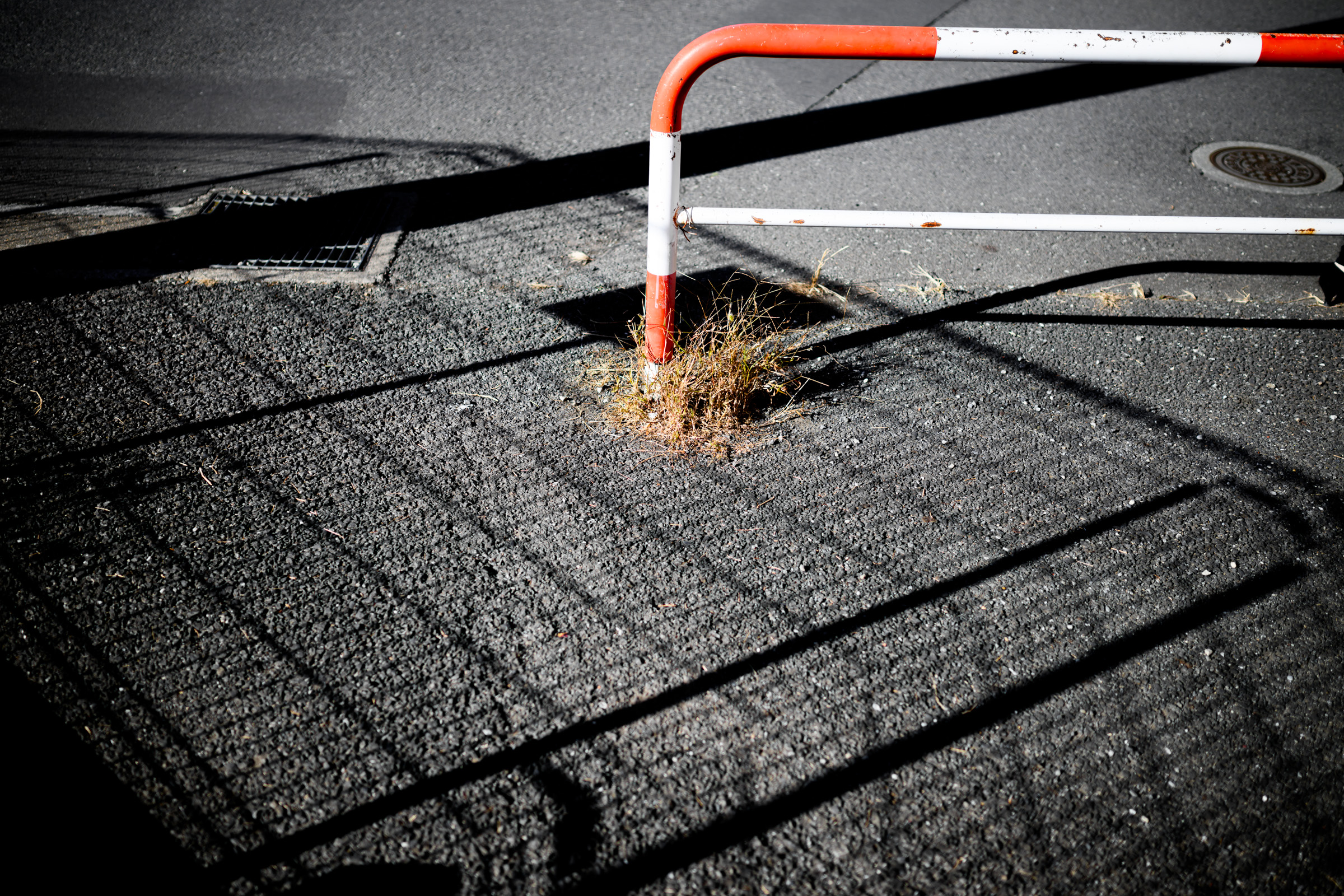 Z35/1.8Sの色収差は派手に出る