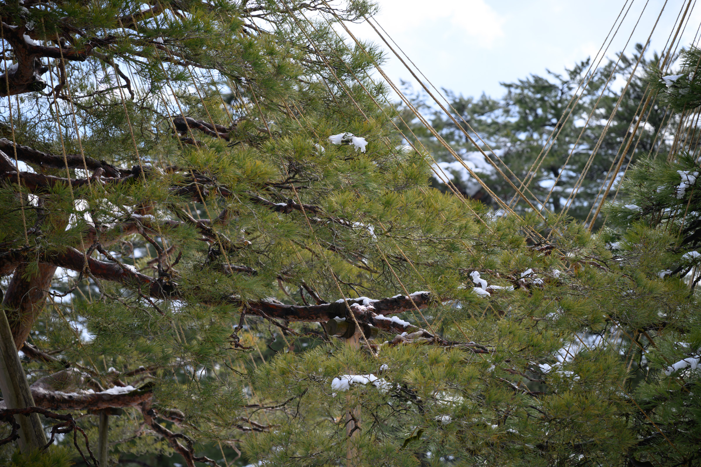 Suicaはやっぱ速いんだと思った