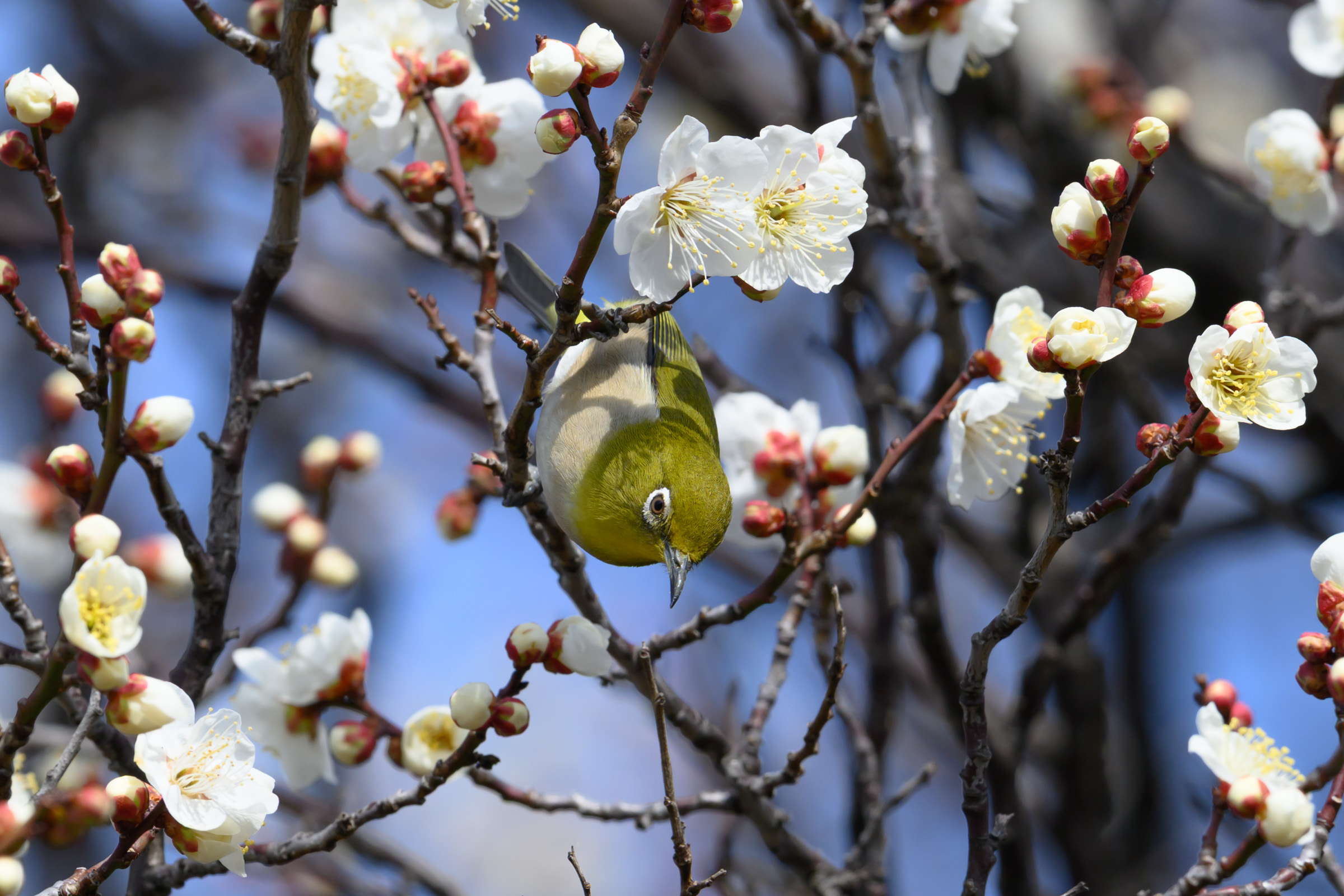 ダイアン津田さんの通帳の人②のCMは正しくね？