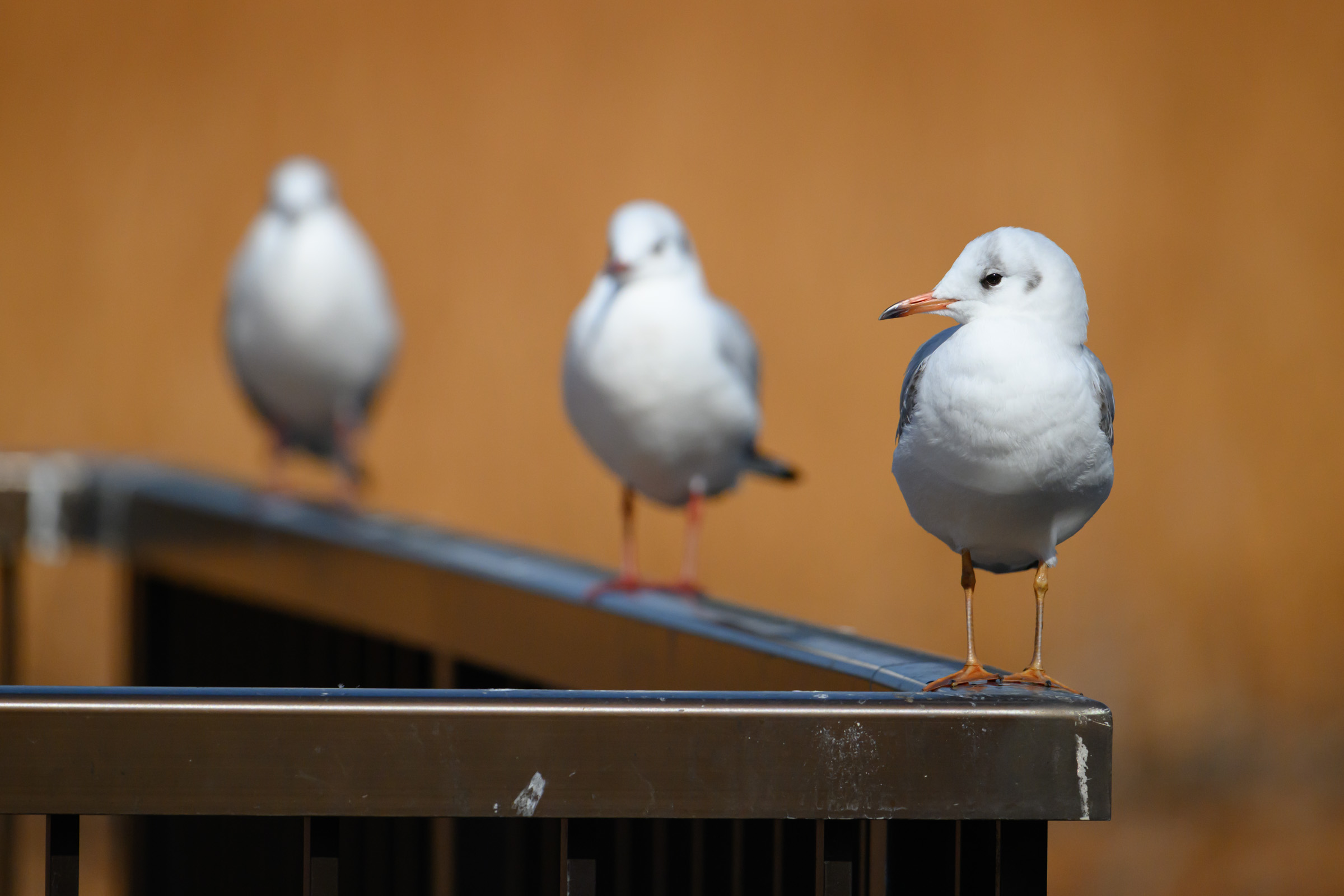 ISO1600のままにしちゃってた