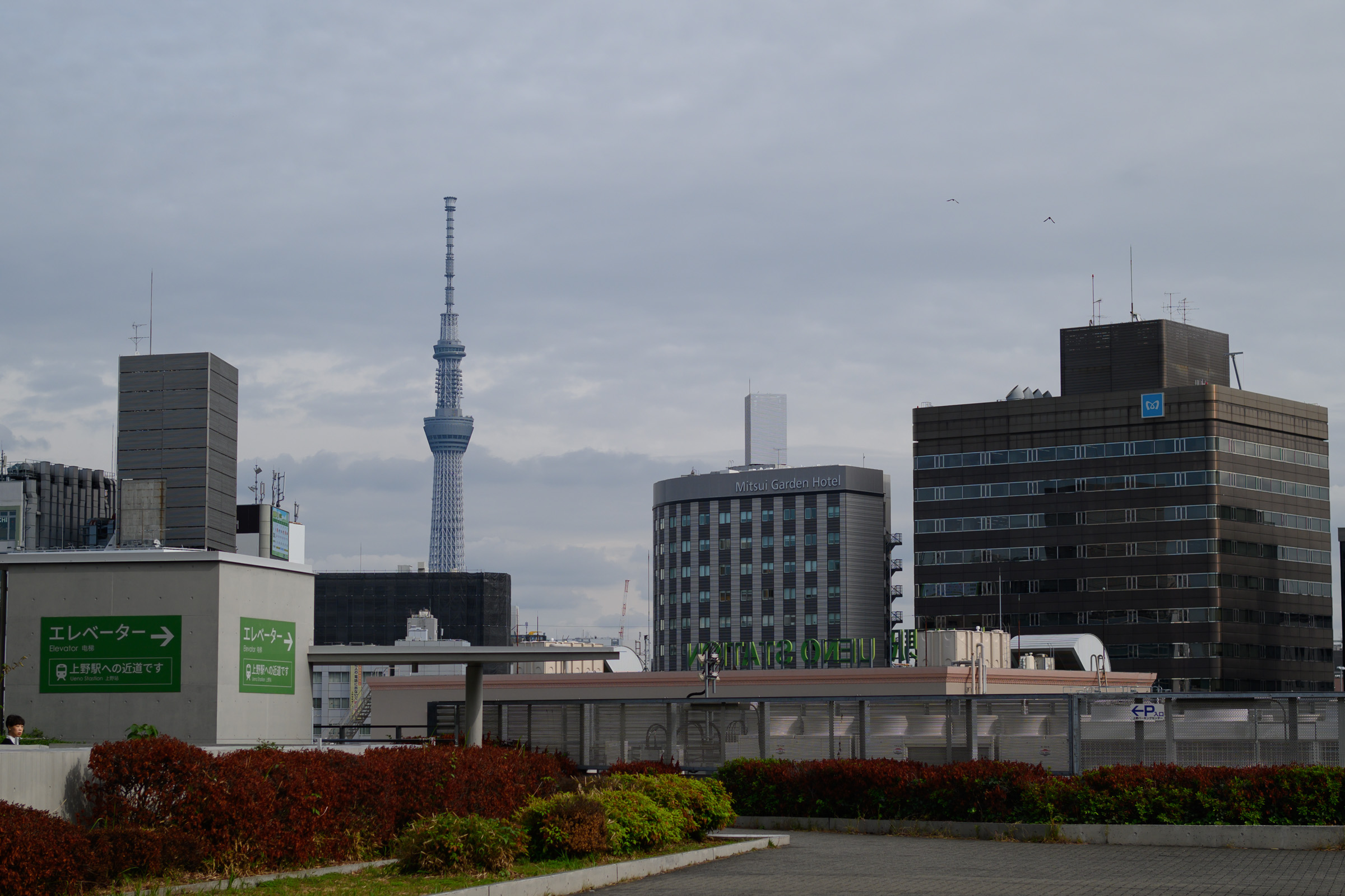 置いて来てしまったSDカードに再会する