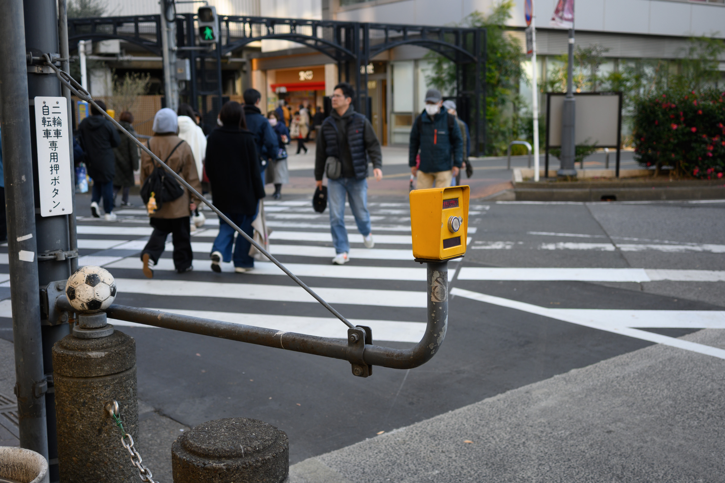 Siriが「突然目の前にマウンテンゴリラが現れた時の対処法」を教えてくれるようになってる