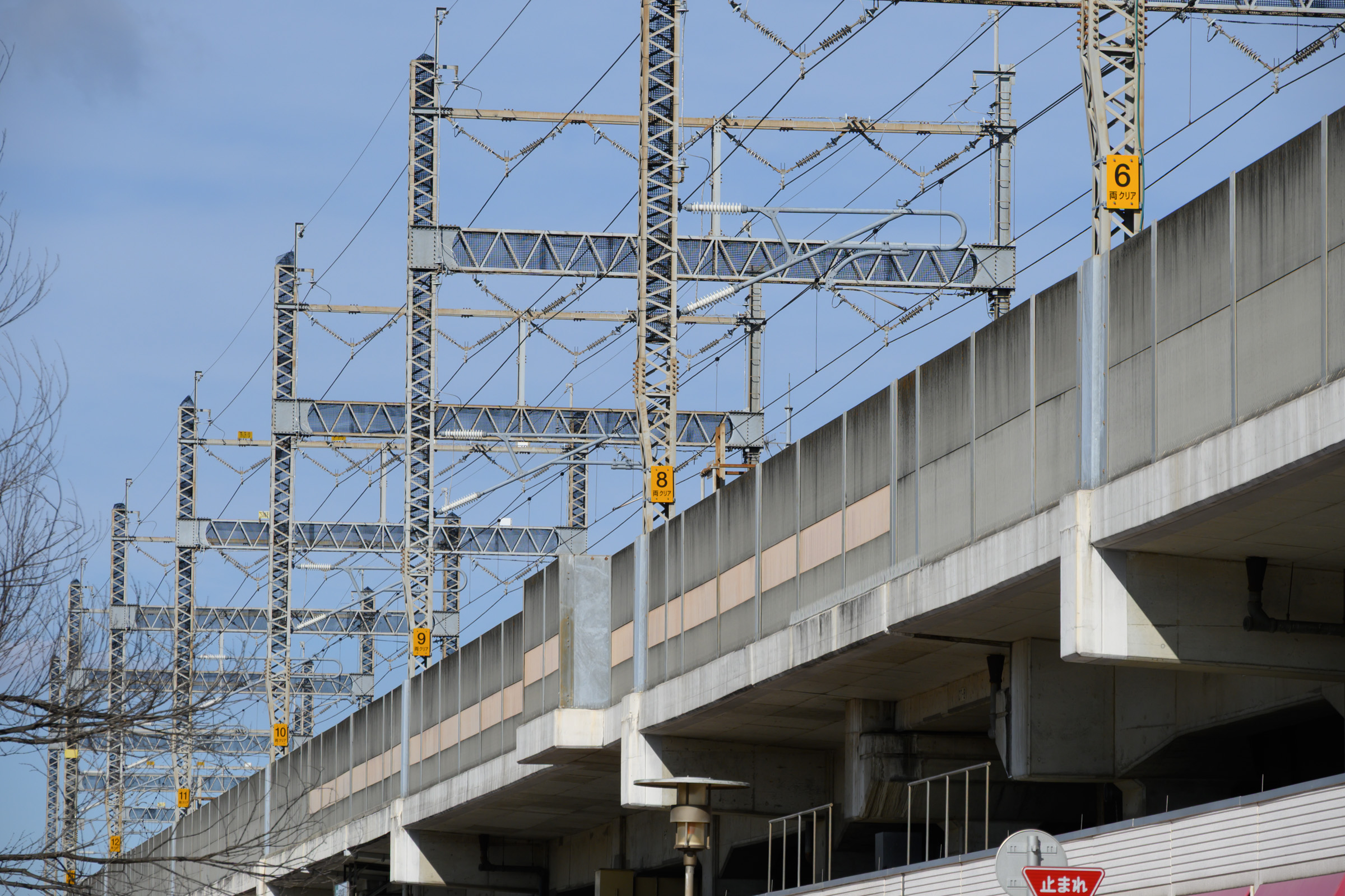 期日前投票してきた
