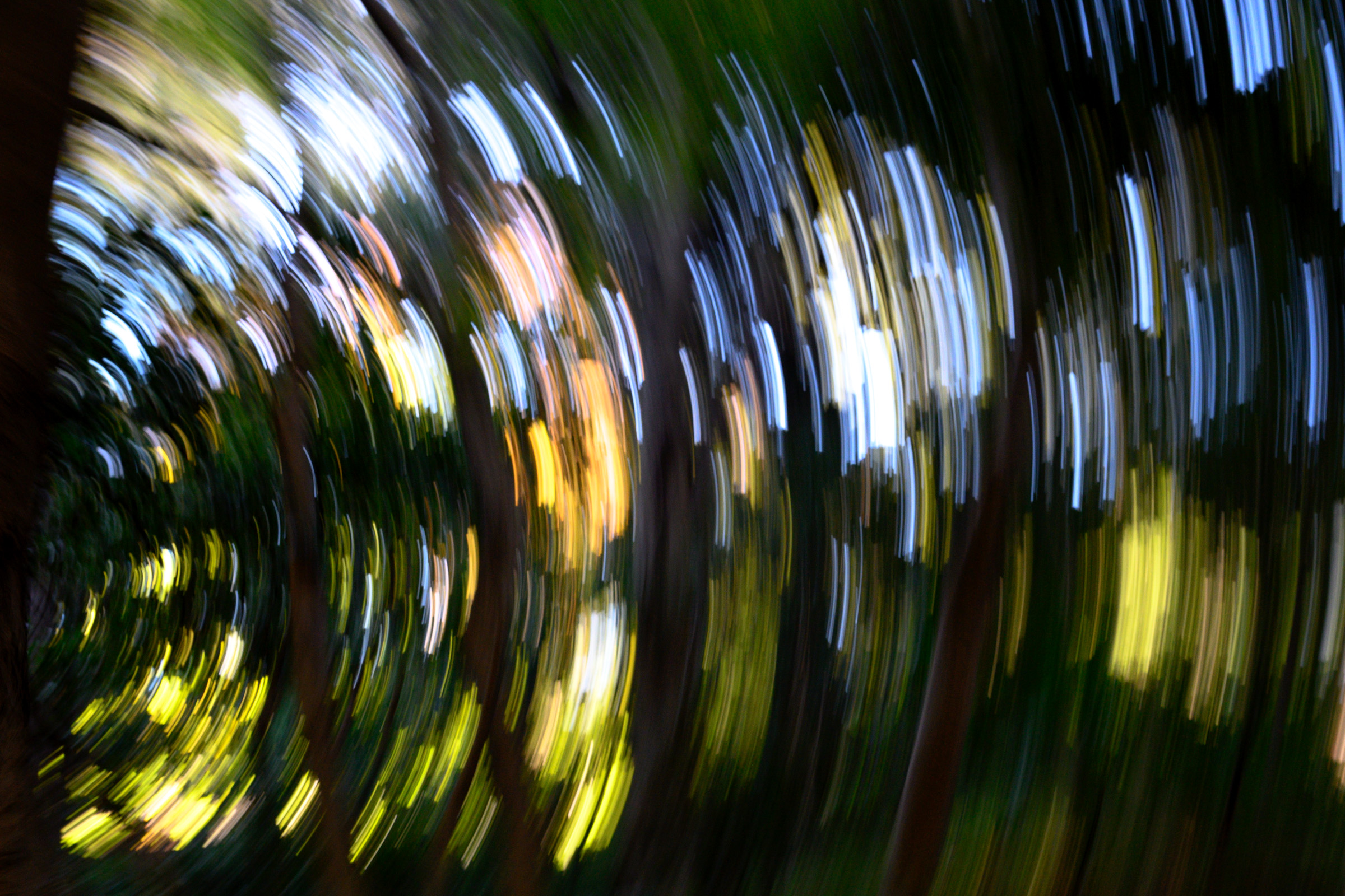 撮った記憶のない写真